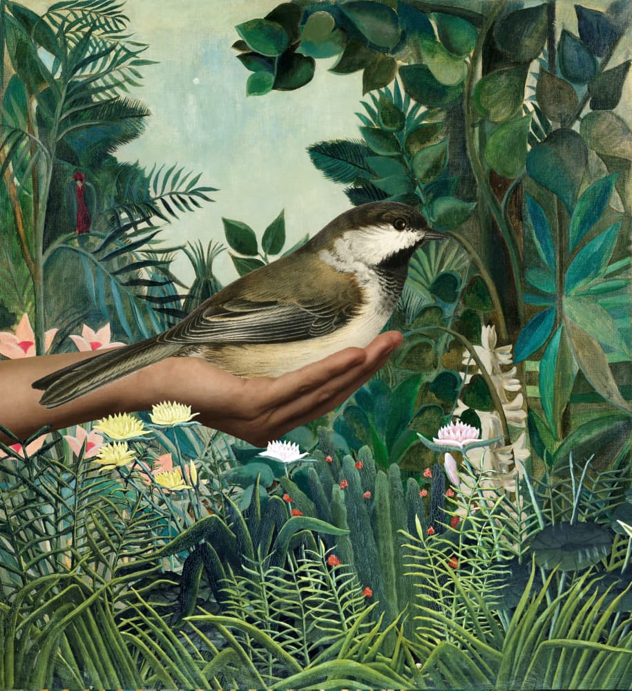 Bird In Serene Jungle by Marja van den Hurk — canvas wall art