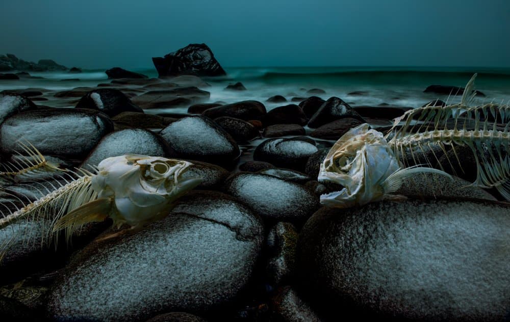 Eerie Ocean Skeletons by Shanyewuyu — canvas wall art