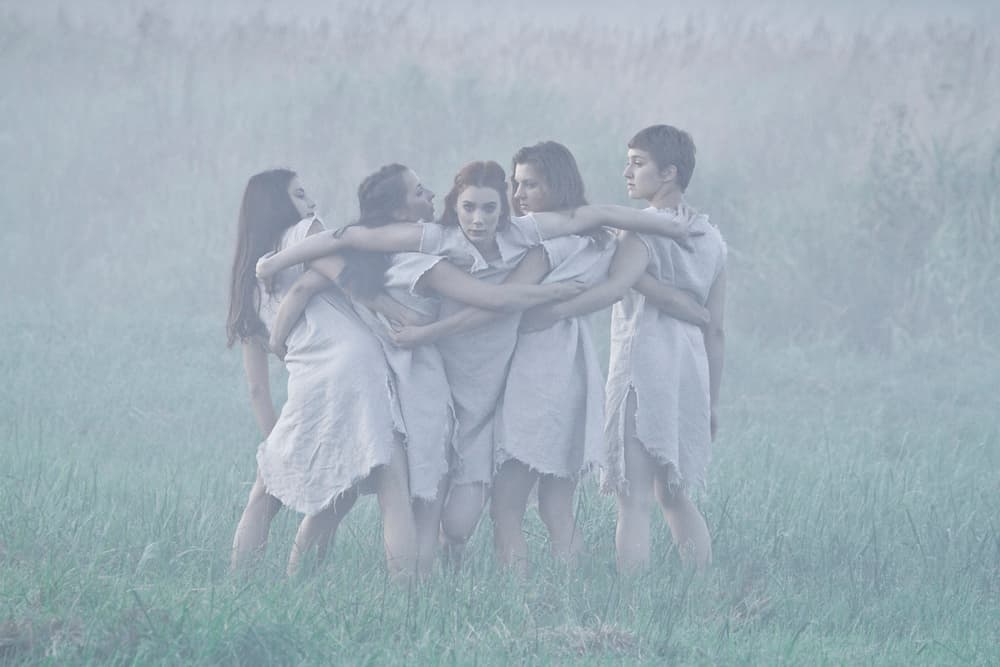 Misty Field Embrace by Leszek Paradowski — canvas wall art