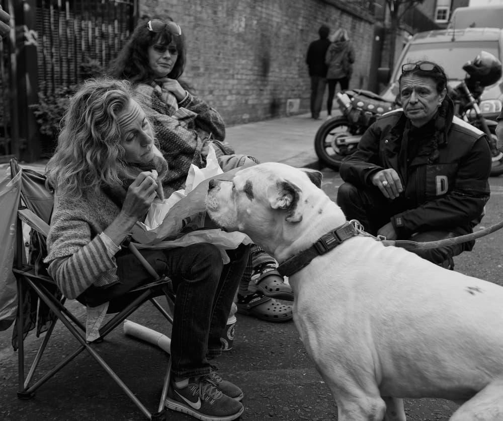 Street Life Companions by Lorenzo Grifantini — canvas wall art