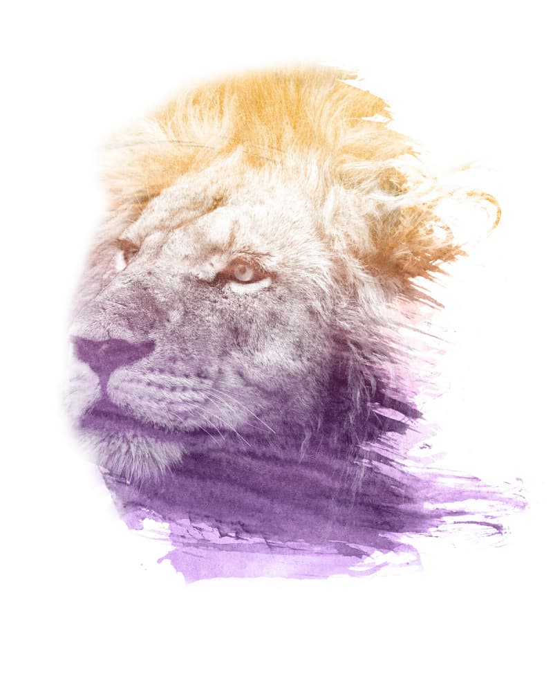 Abstract Watercolor Lion by Emiliano Deificus — canvas wall art