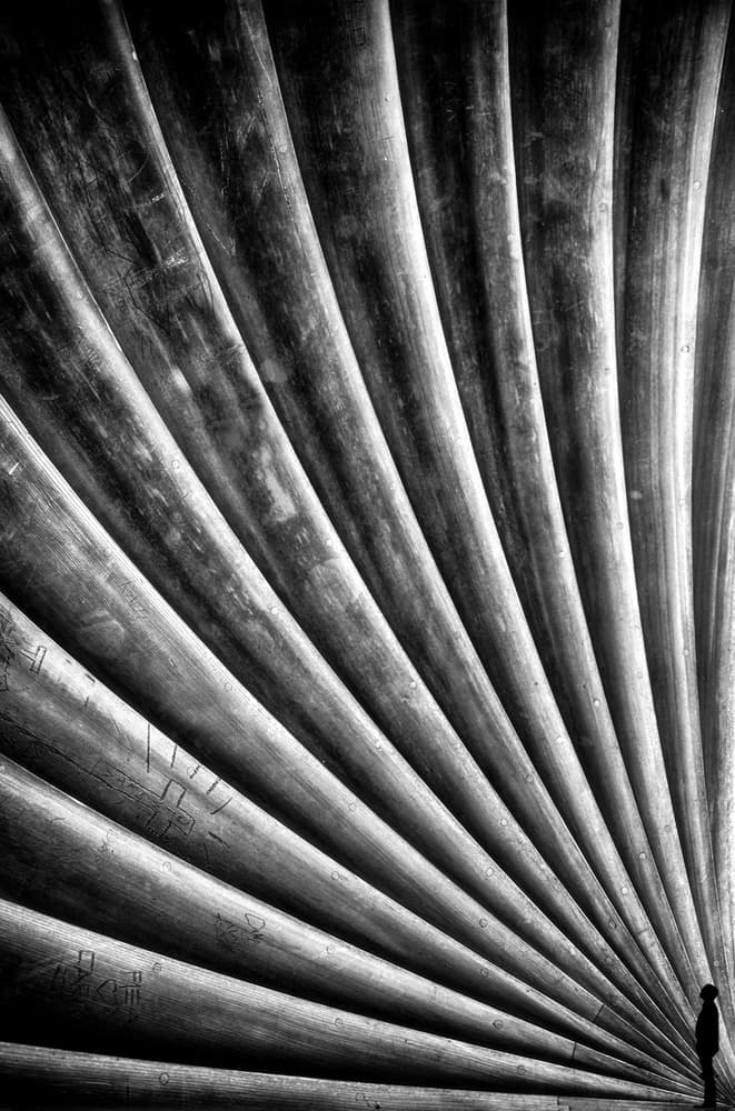 Dramatic Curved Forms by Roxana Labagnara — canvas wall art