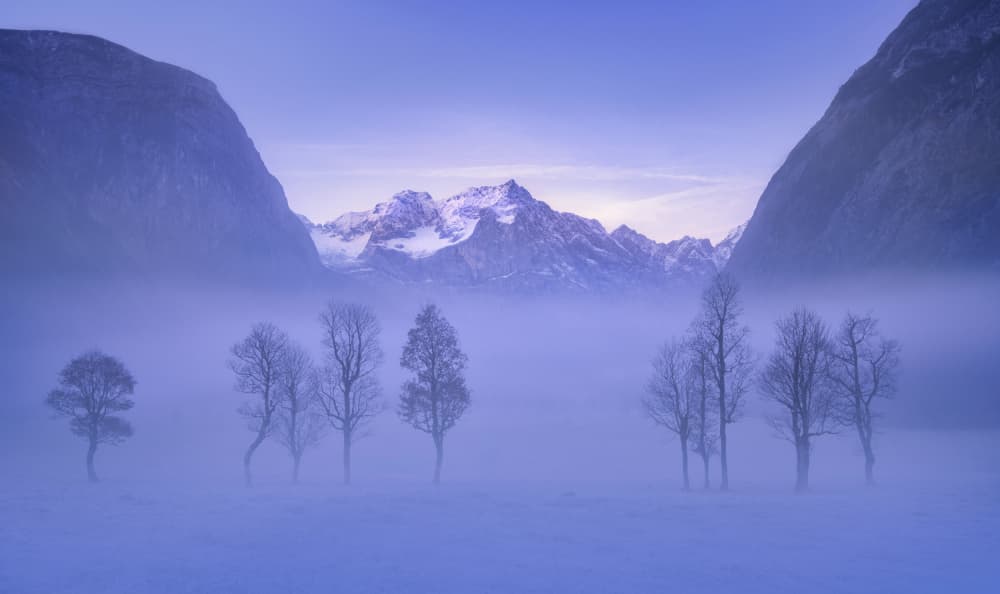 Misty Mountain Winter by Norbert Maier — canvas wall art