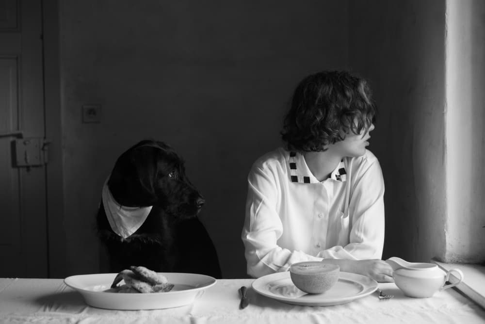 Quiet Table Companions by Małgorzata Masarz — canvas wall art