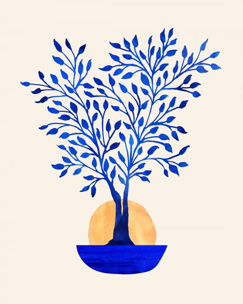 Indigo Ficus Sunrise by Kristian Gallagher — canvas wall art