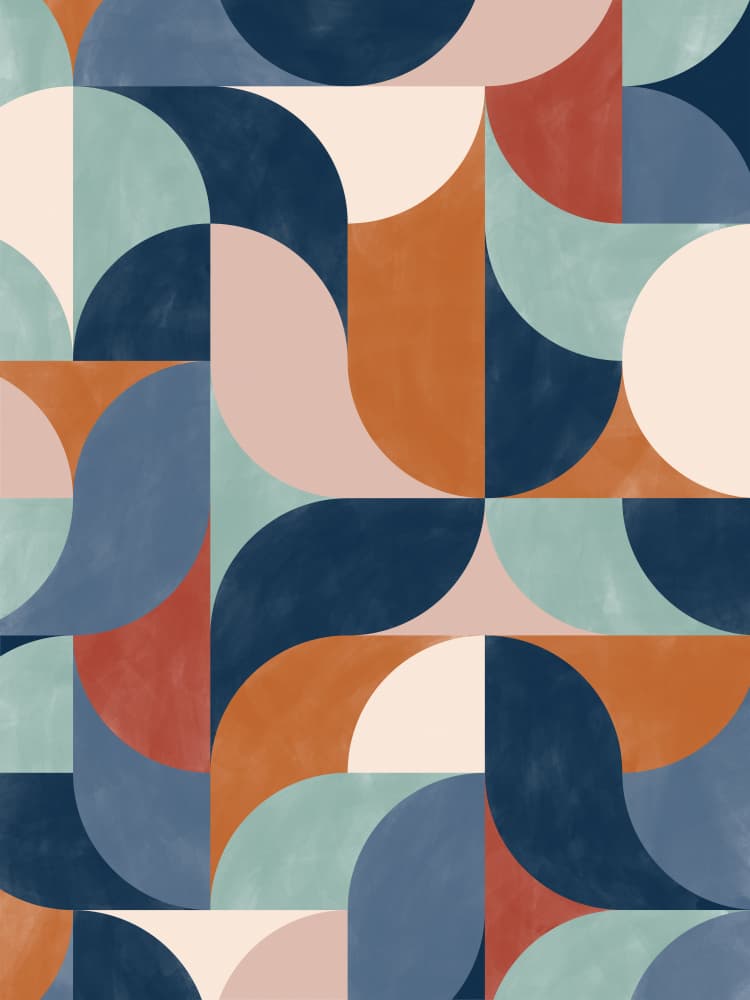 Mid-Century Modern Curves by Elena Ristova — canvas wall art