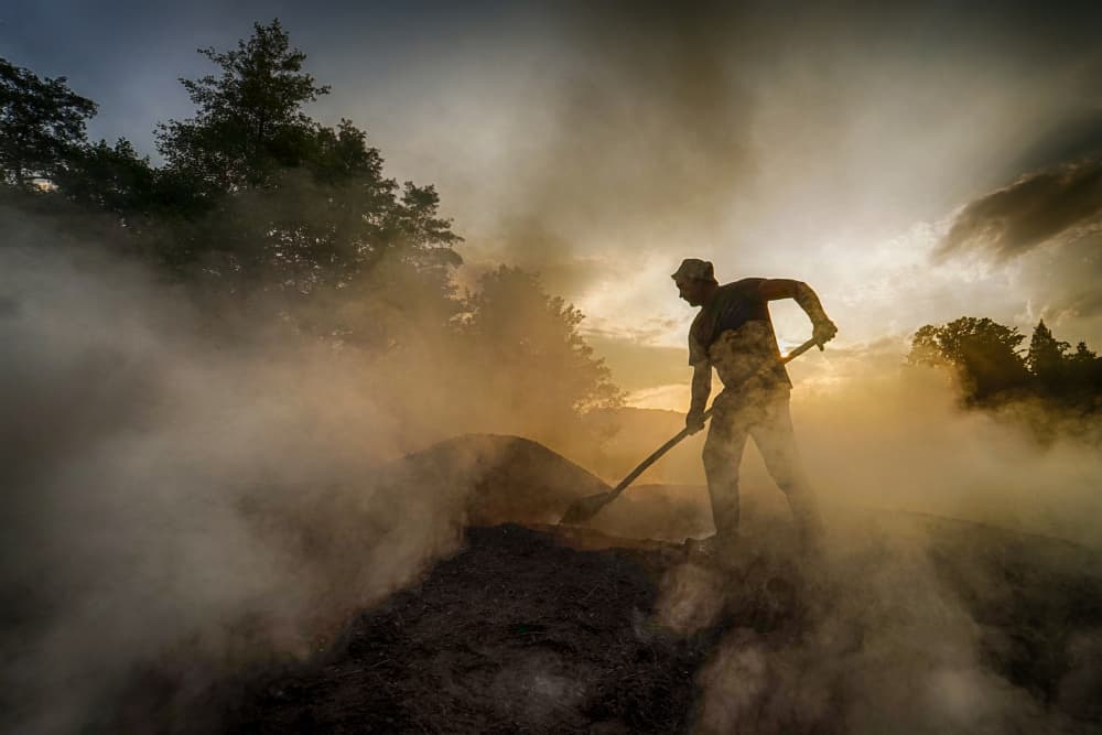 Golden Hour Laborer by Zoran Toldi (EFIAP AZSF) — canvas wall art