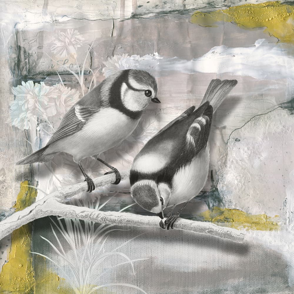 Blue Tits On Branch by Marja van den Hurk — canvas wall art