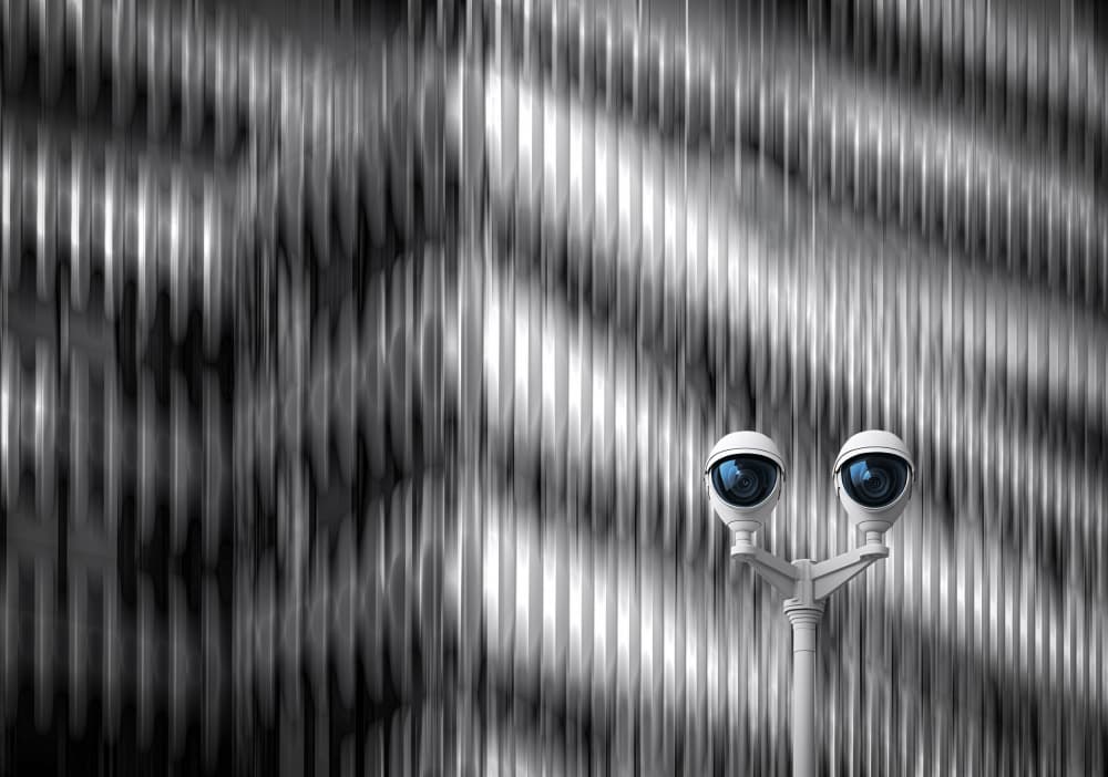 Watchful Security Cameras by Roland M Schwerdtfeger — canvas wall art
