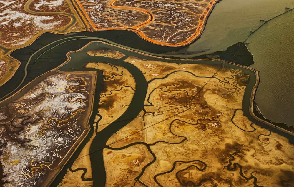 Aerial River Patterns by Rob Darby — canvas wall art