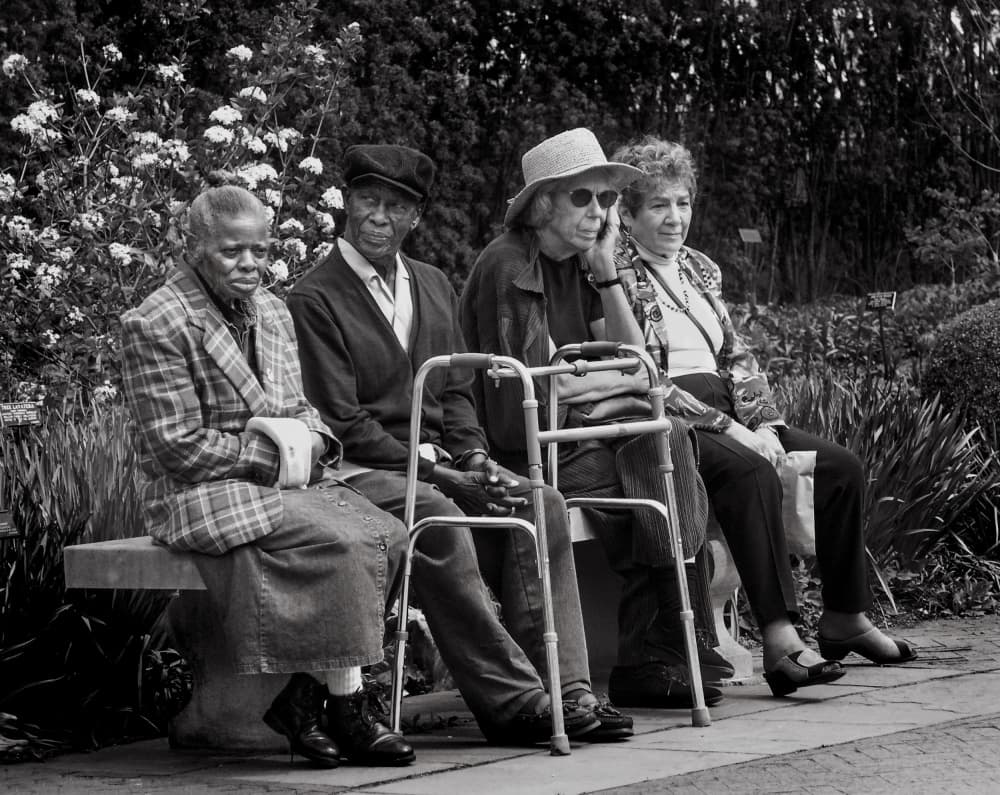 Four Friends on a Bench by Michael Castellano — canvas wall art
