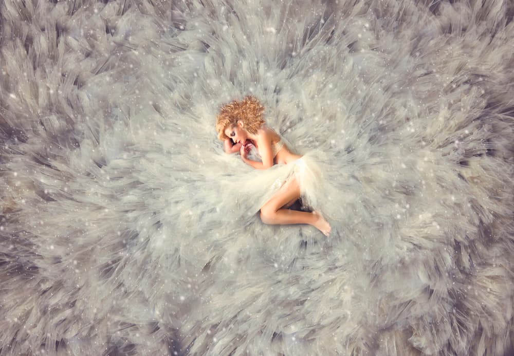 Dreaming Feather Angel by Carmit Rozenzvig — canvas wall art