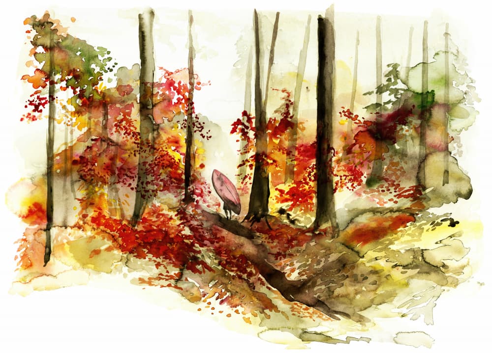 Autumn Forest Surf Journey by RodMacIver — canvas wall art