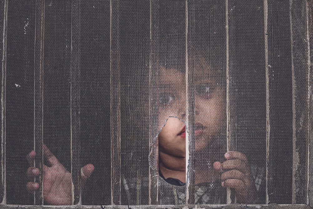 Child's Gaze Through Screen by Marco Tagliarino — canvas wall art