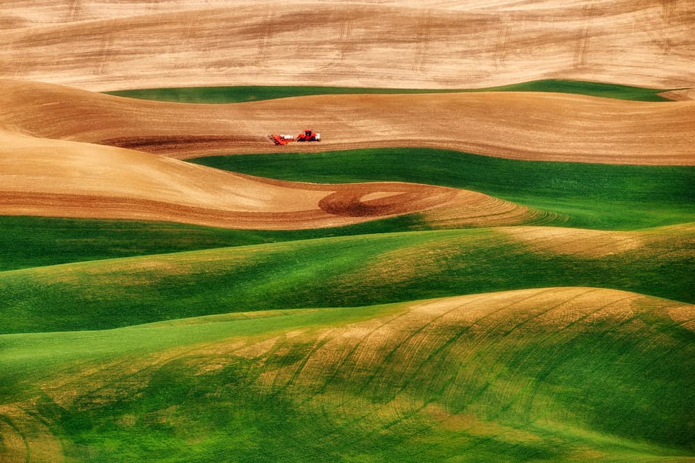 Rolling Green Farm Fields by Lydia Jacobs — canvas wall art
