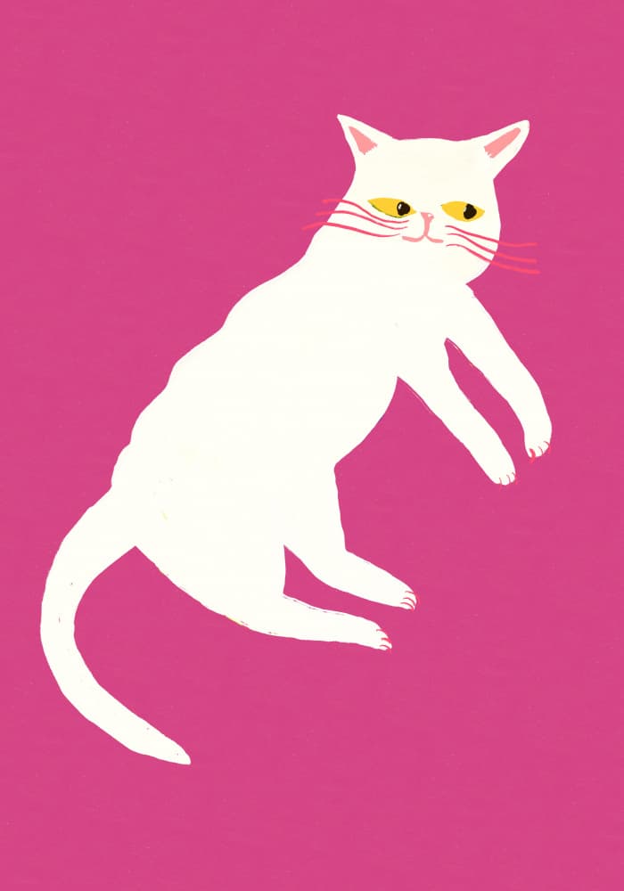 Quirky White Cat by Sharyn Bursic — canvas wall art
