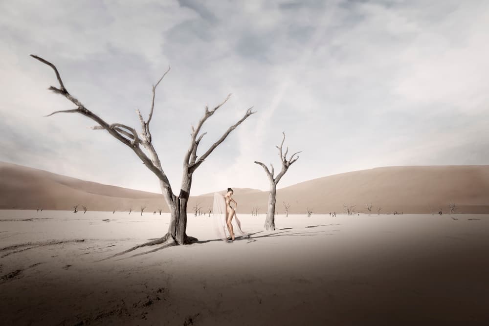 Ethereal Desert Woman by Christine von Diepenbroek — canvas wall art