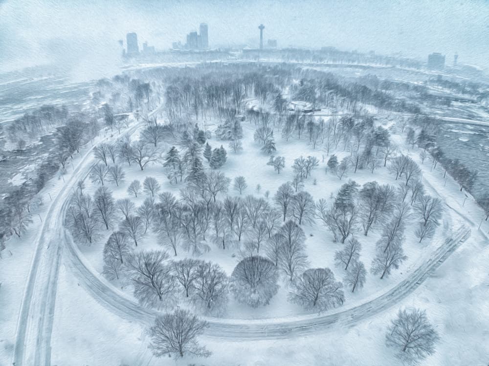 Aerial Winter City Park by Ling Lu — canvas wall art