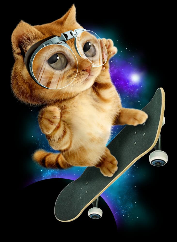 Skateboarding Space Cat by Adam Lawless — canvas wall art