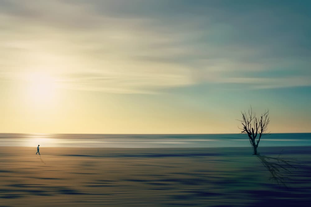Golden Horizon Lone Walker by MingLun Tsai (蔡明倫) — canvas wall art
