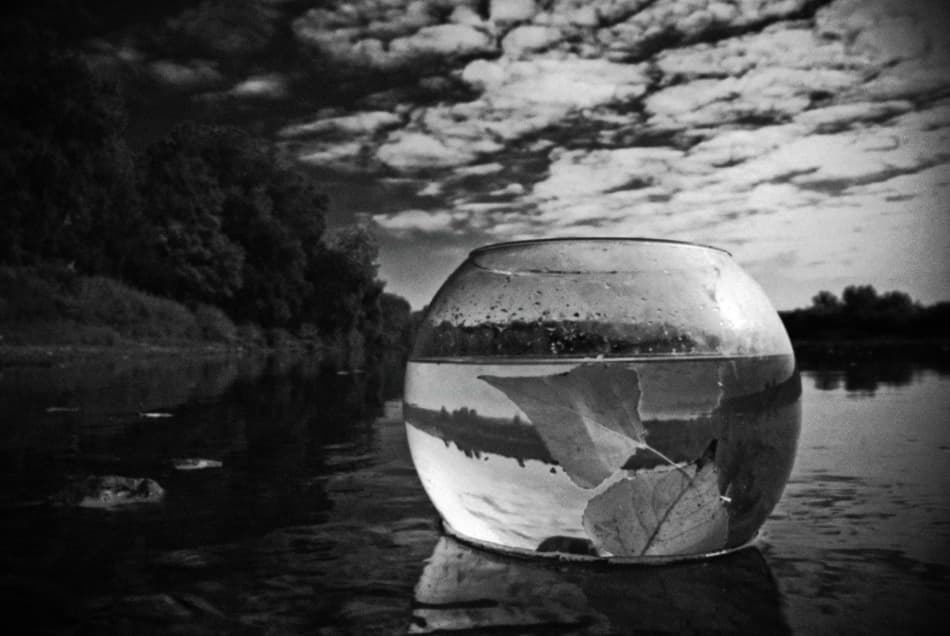 Glass Bowl Reflections by Codrin Lupei — canvas wall art