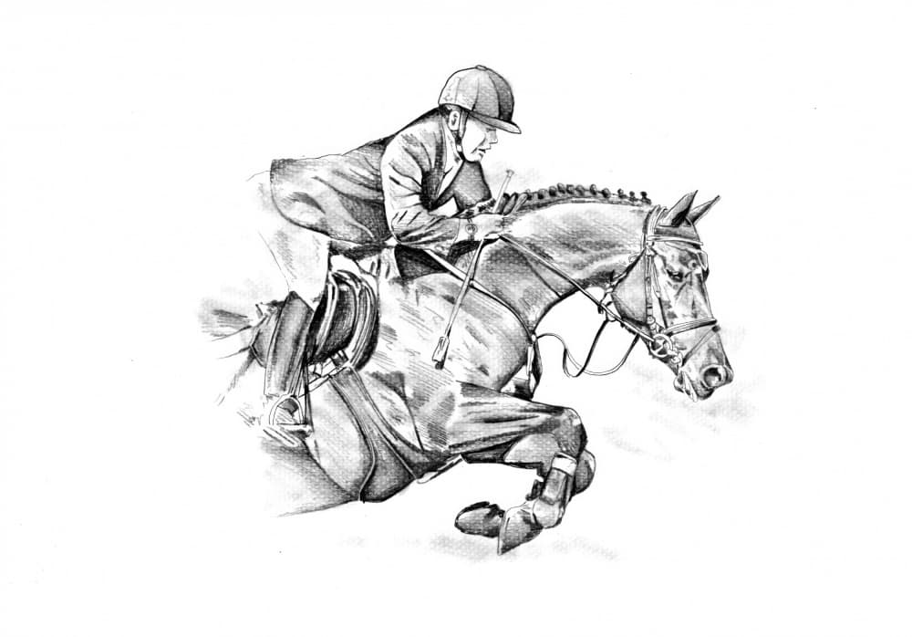 Dynamic Horse Jump by Kulik — canvas wall art