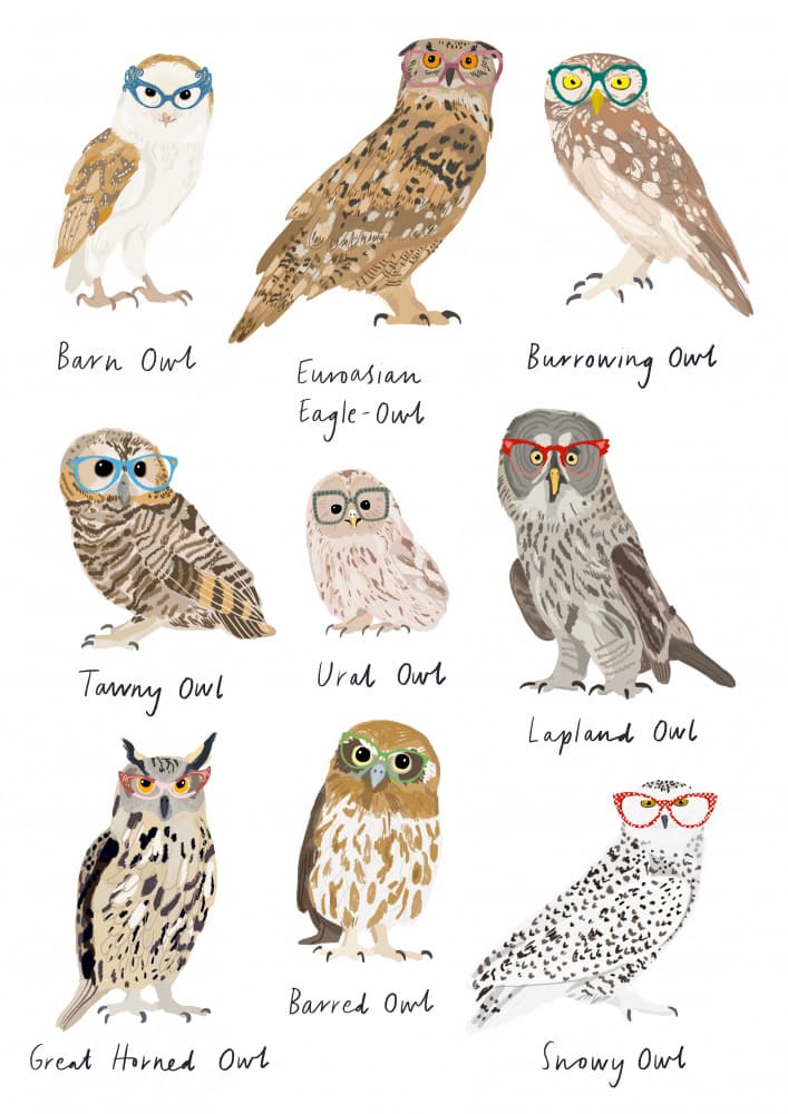 Wise Owls With Glasses by Hanna Melin — canvas wall art