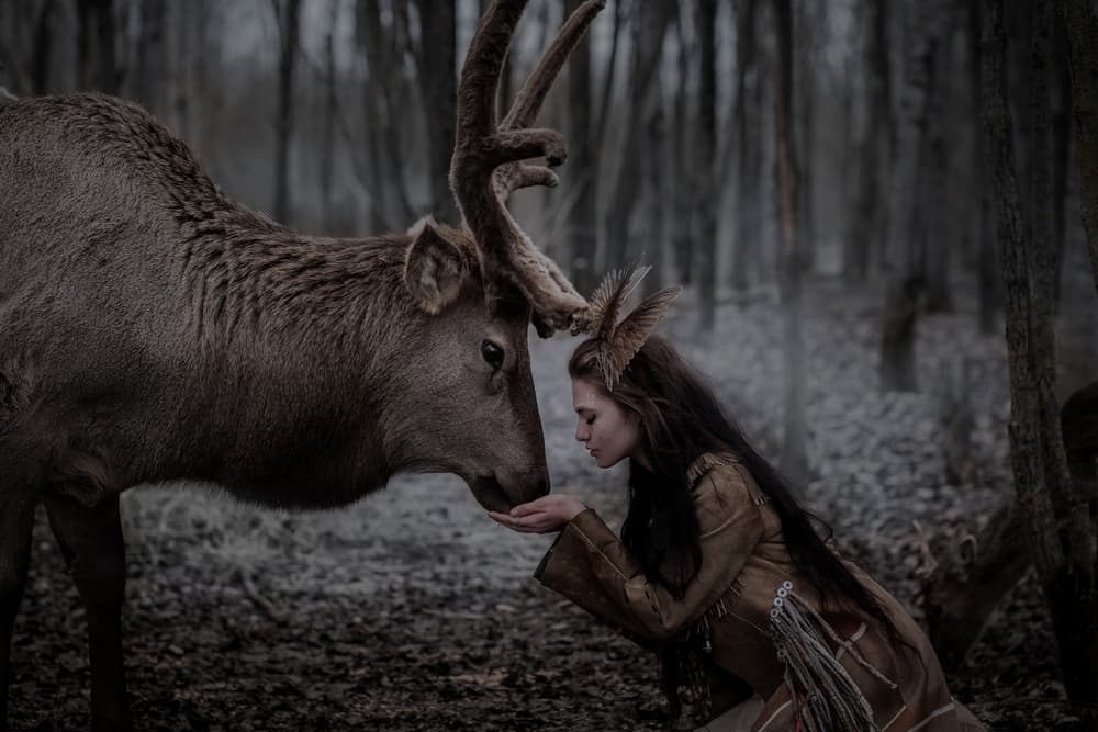 Woman Feeding Wild Deer by Olga Barantseva — canvas wall art