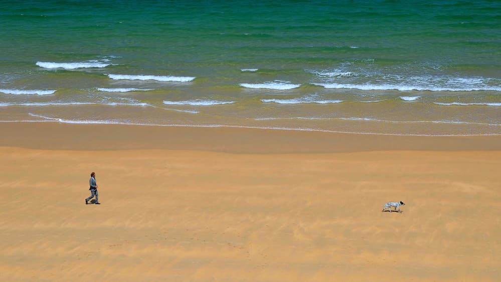 Beach Walk With Dog by Primož Kožuh — canvas wall art