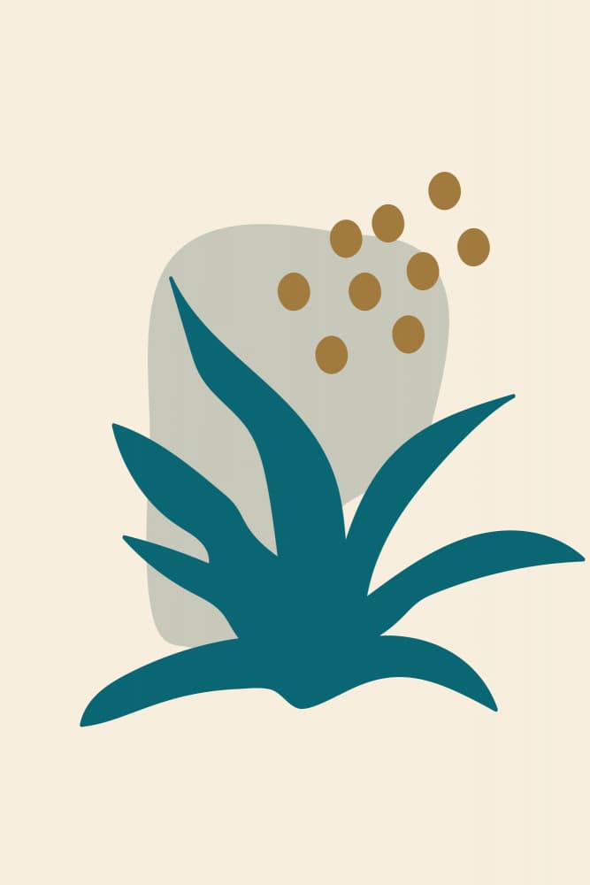 Modern Botanical Shapes by Dina Dankers — canvas wall art