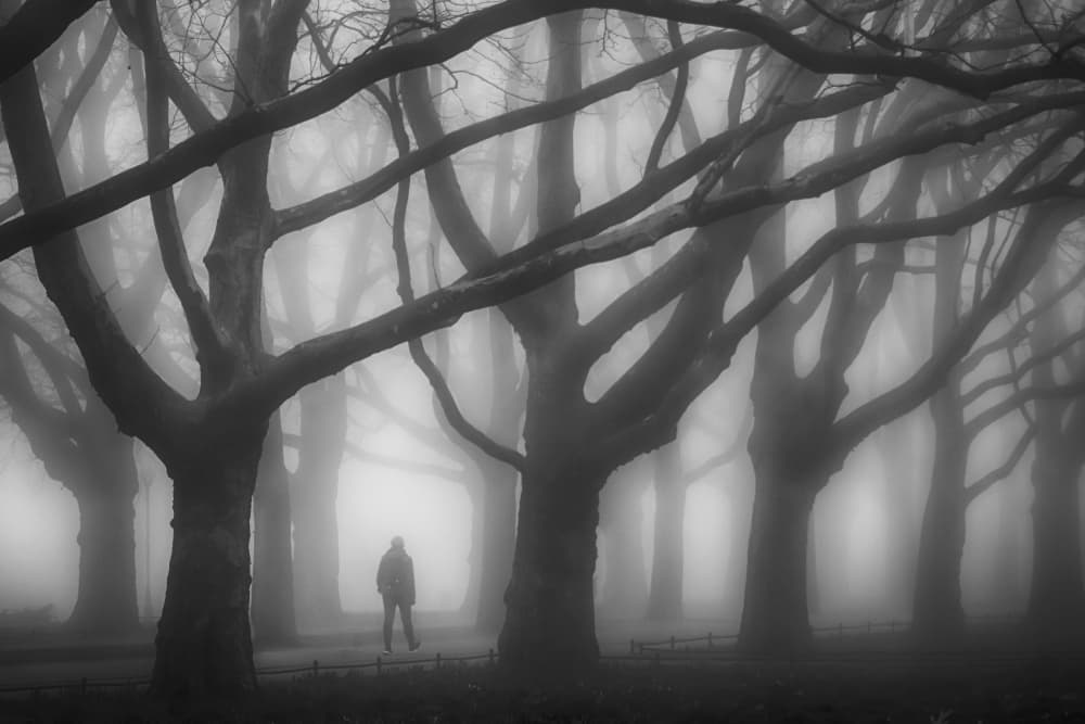 Solitary Walk In Fog by Anna Niemiec — canvas wall art