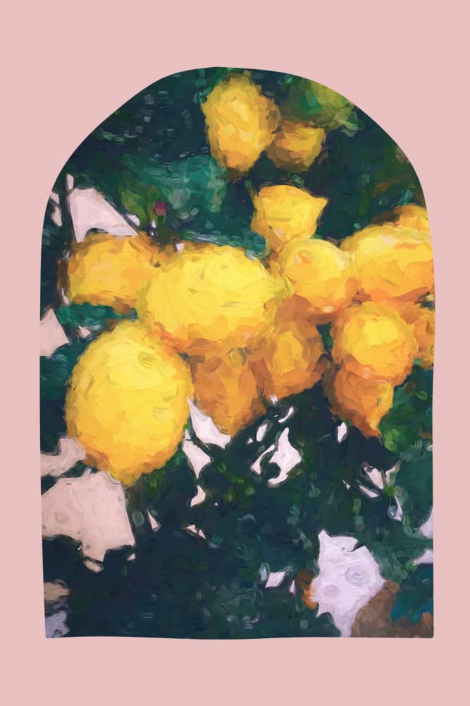Vibrant Lemon Archway by Talitha McQueen — canvas wall art