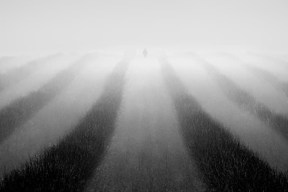 Solitary Figure In Fog by Leszek Paradowski — canvas wall art
