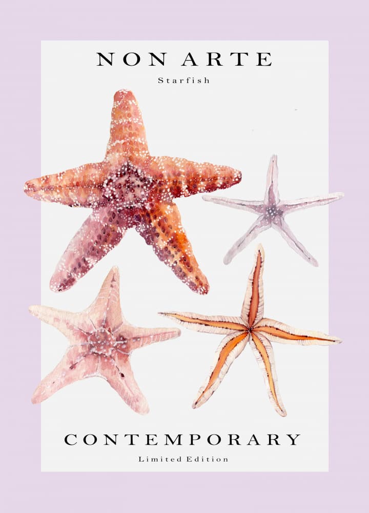 Assorted Sea Stars by Rikke Løndager Boisen — canvas wall art
