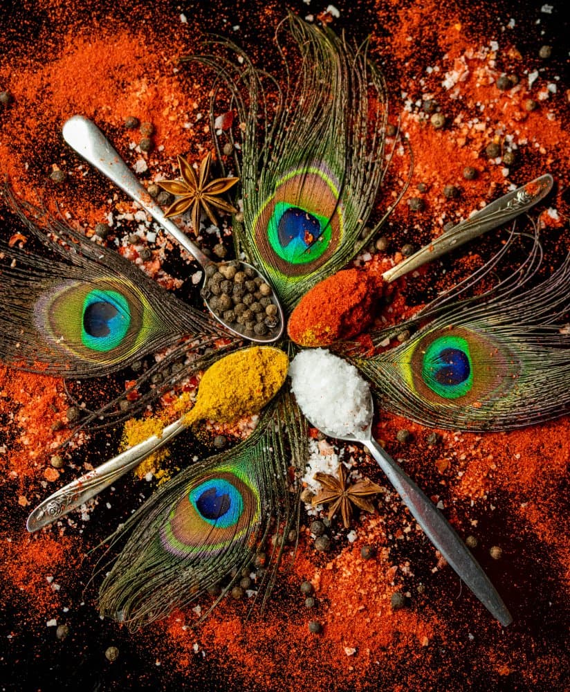 Vibrant Peacock Spices by Danny Mendoza — canvas wall art