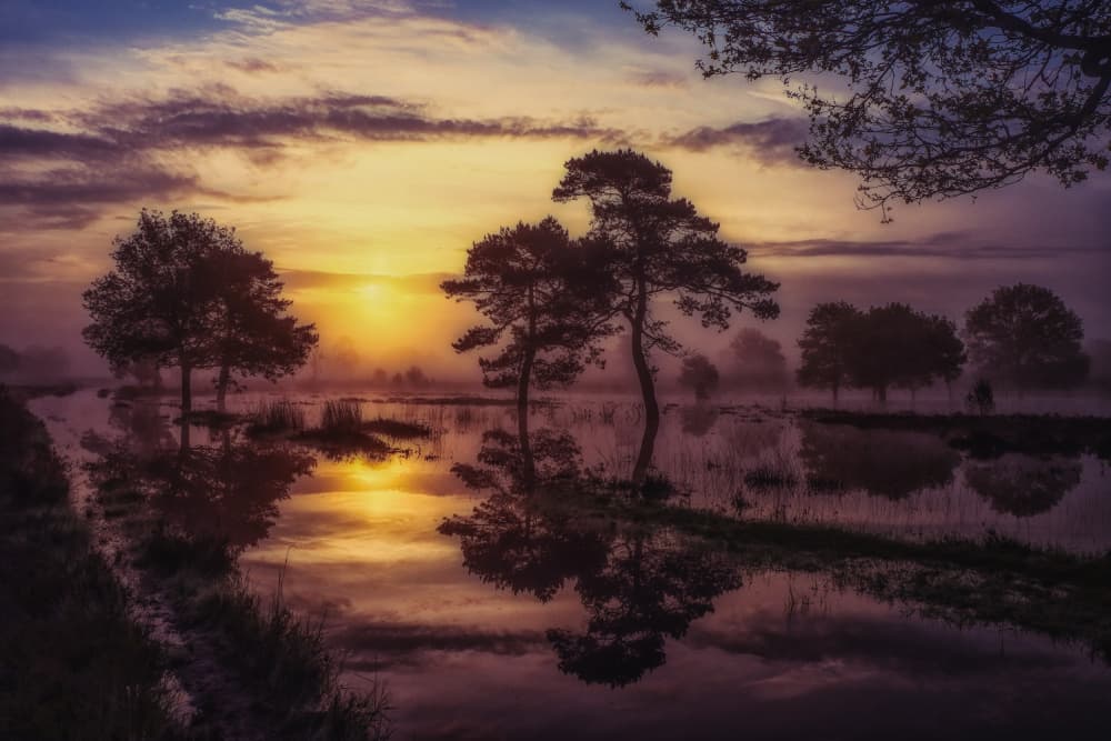 Misty Golden Hour by Hilda van der Lee — canvas wall art