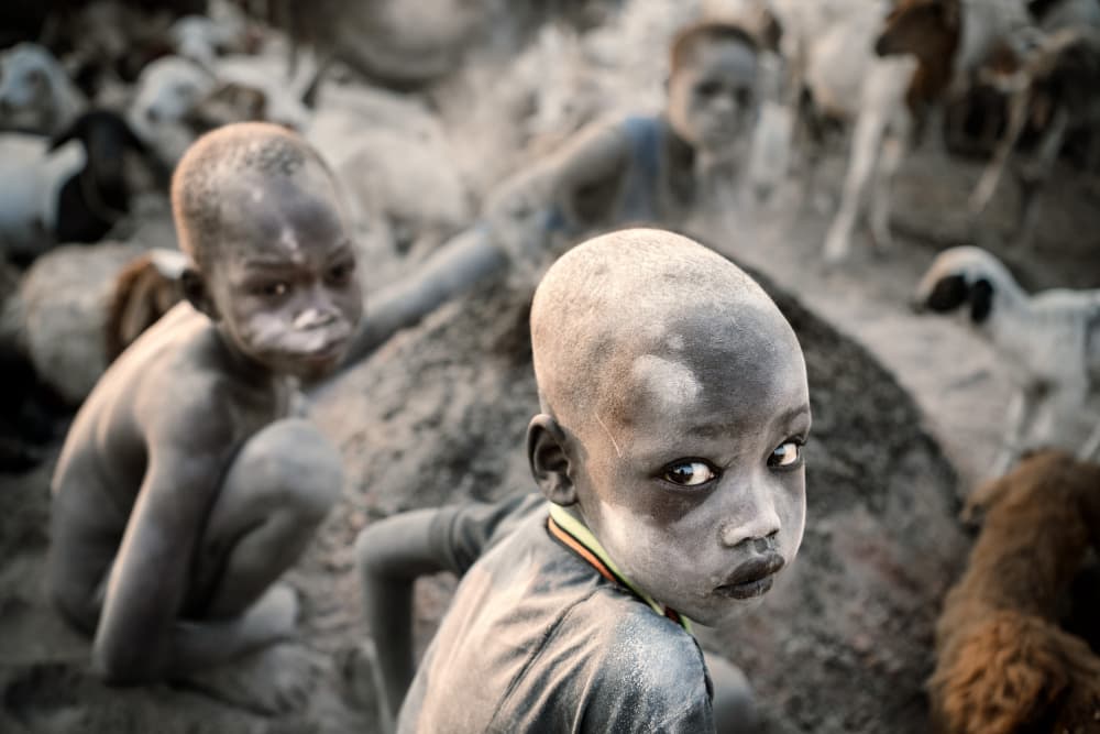 Dusty Young Gaze by Trevor Cole — canvas wall art
