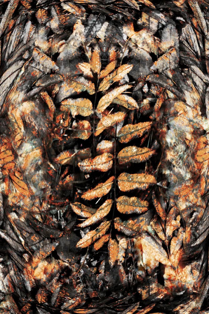 Abstract Autumn Leaves by Christina Sillen — canvas wall art