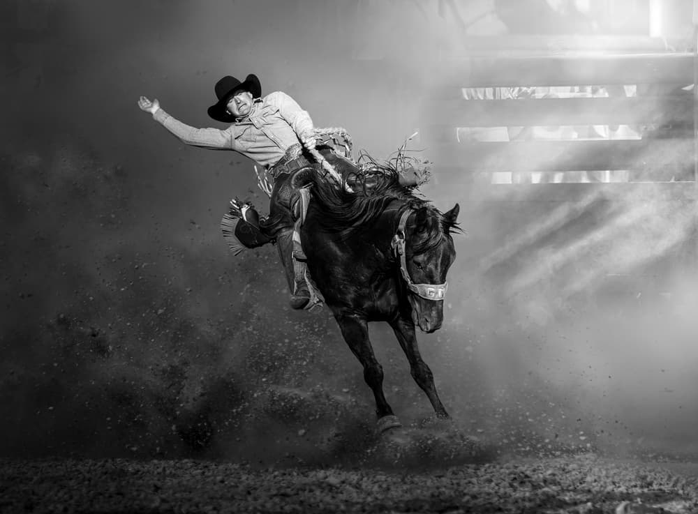 Bucking Rodeo Cowboy by Irene Wu — canvas wall art