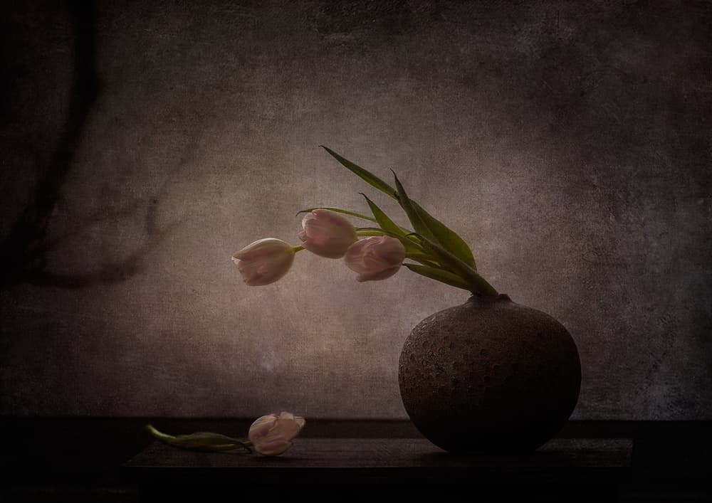 Elegant Moody Tulips by Katarina Holmström — canvas wall art