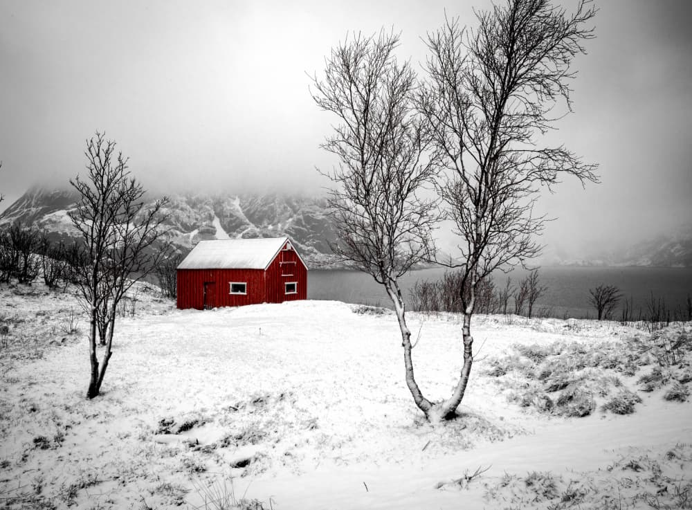 Snowy Red Cabin by Allan Li wp — canvas wall art
