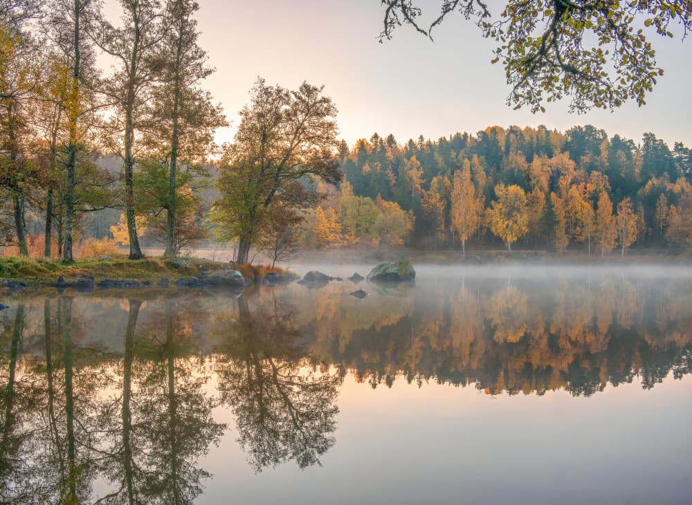 Golden Autumn Lake Reflection by Christian Lindsten — canvas wall art