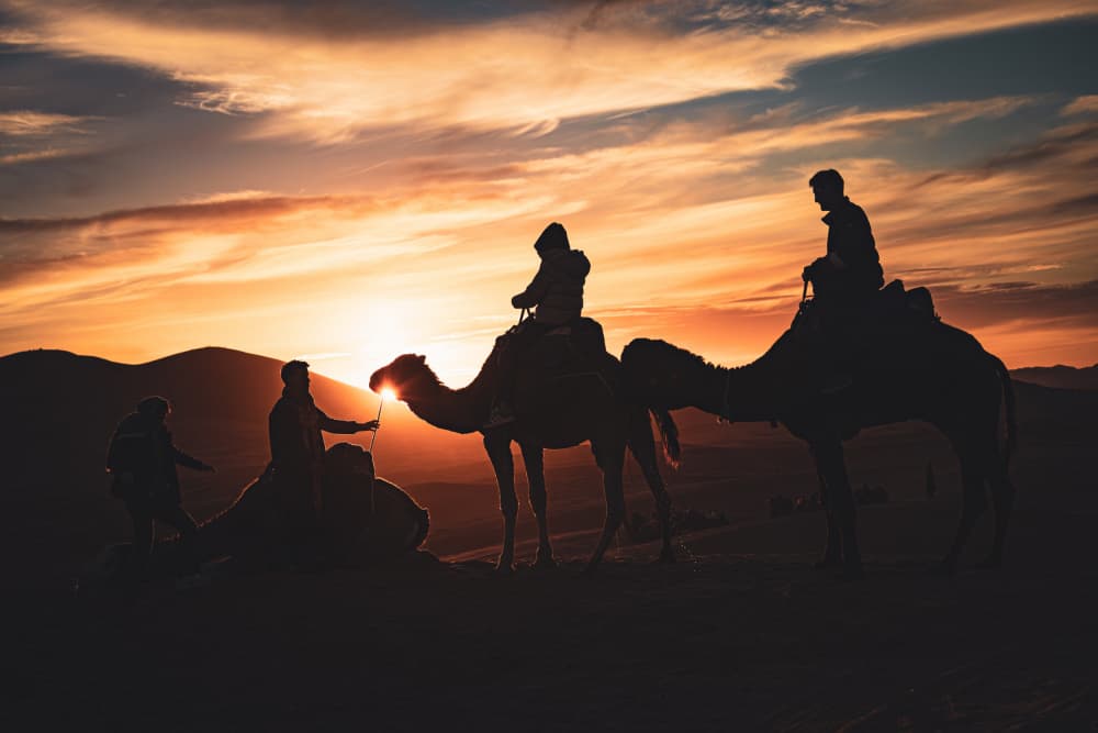 Golden Desert Camel Ride by Marco Tagliarino — canvas wall art