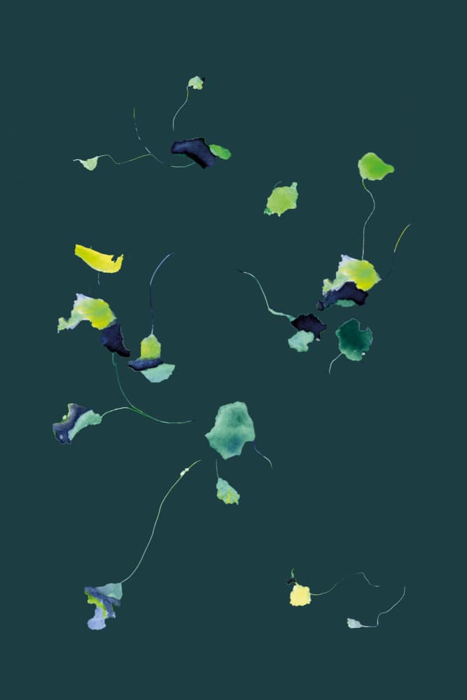 Serene Floating Leaves by Alexandra Weise — canvas wall art
