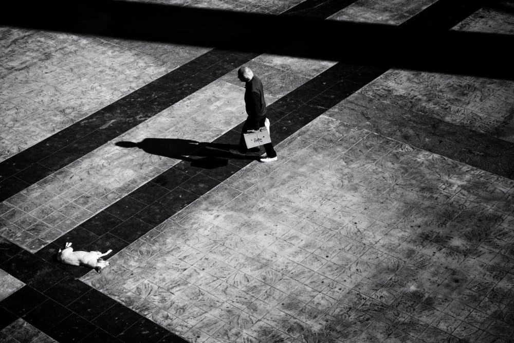 Urban Shadow Play by Ali Ayer — canvas wall art
