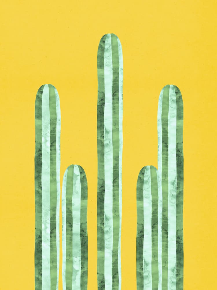 Striped Desert Cactus by Vitor Costa — canvas wall art