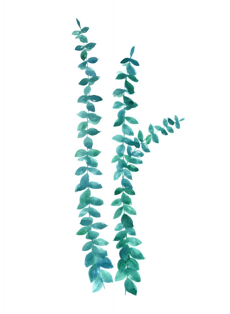 Watercolor Green Leaves by Rosana Laiz Blursbyai — canvas wall art