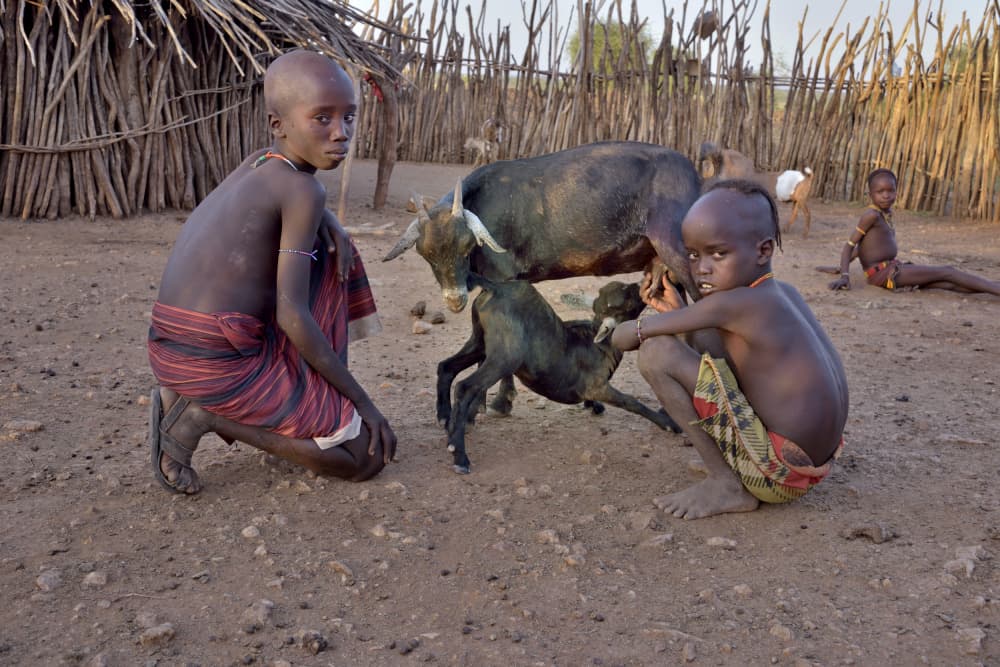 Village Children Goats by Giuseppe DAmico — canvas wall art