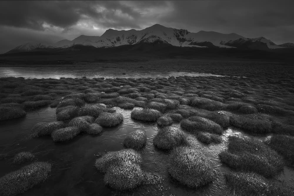 Dramatic Mountain Marsh by TIANQI — canvas wall art