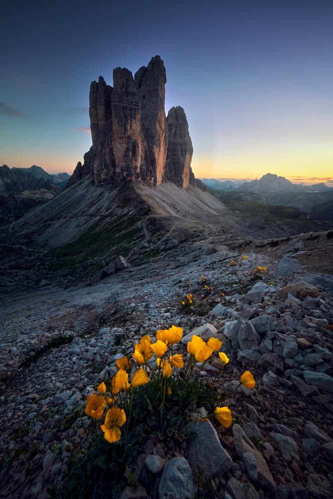 Mountain Dawn Poppies by Ricardo Gayan — canvas wall art